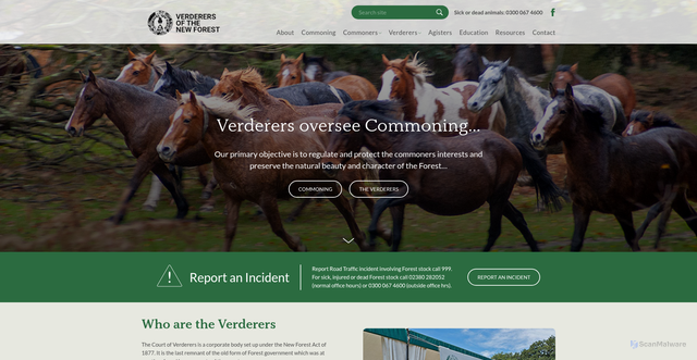 Security scan screenshot of https://www.verderers.org.uk/