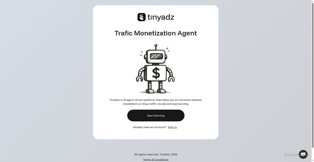 Security scan screenshot of https://app.tinyadz.com