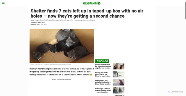 Security scan screenshot of https://www.theanimalclub.net/dogs/shelter-finds-7-cats-left-up-in-taped-up-box-with-no-air-holes-now-theyre-getting-a-second-chance/