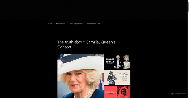 Security scan screenshot of https://home.trueroyalty.tv/post/the-truth-about-camilla