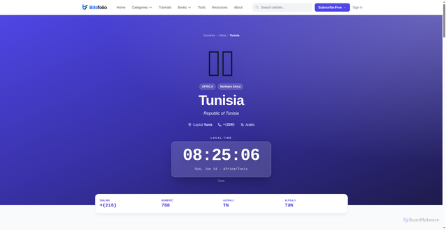 Security scan screenshot of https://bitsfolio.com/country/tunisia/