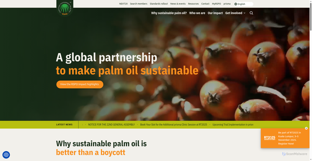 Security scan screenshot of https://rspo.org/