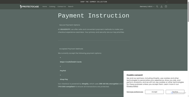 Security scan screenshot of https://protectocase.com/pages/payment-policy