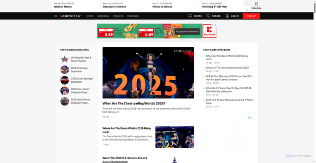 Security scan screenshot of https://flocheer.com