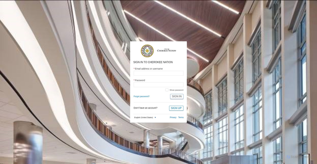 Security scan screenshot of https://cherokee.patientportal.healtheintent.com