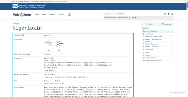 Security scan screenshot of https://httpbin.org/redirect-to?url=https://pubchem.ncbi.nlm.nih.gov/compound/Nigerloxin