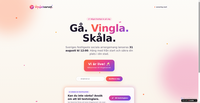 Security scan screenshot of https://vingelvarvet.se
