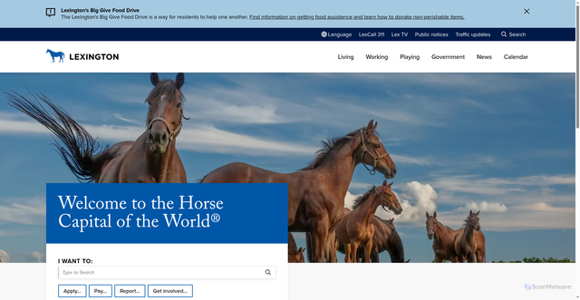 Security scan screenshot of https://www.lexingtonky.gov/