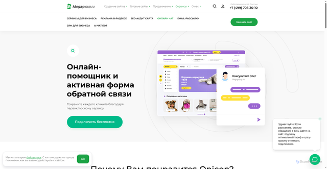 Security scan screenshot of https://onicon.ru