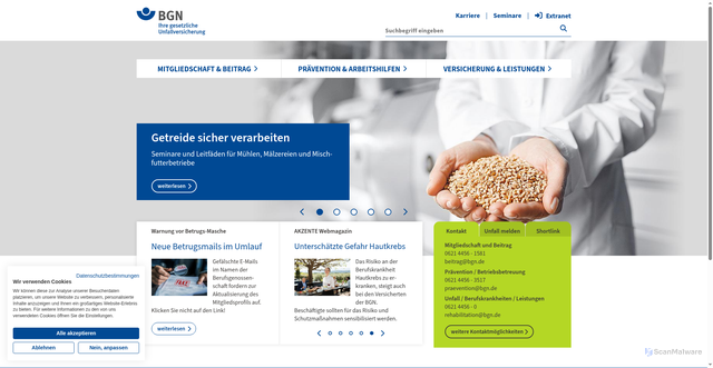 Security scan screenshot of https://www.bgn.de/