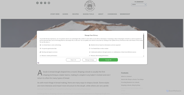 Security scan screenshot of https://www.theperfectloaf.com/guides/shaping-a-boule/
