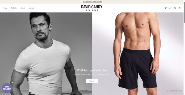 Security scan screenshot of https://www.davidgandywellwear.com