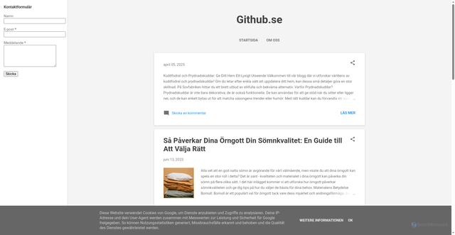 Security scan screenshot of https://github.se