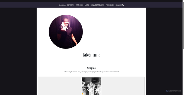 Security scan screenshot of https://www.dothmusic.com/artist/893/fakemink