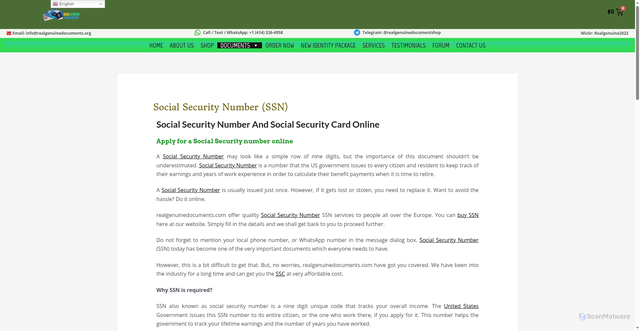 Security scan screenshot of https://cssef.net/social-security-numbers-ssn/