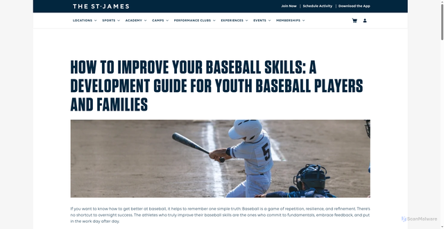 Security scan screenshot of https://www.thestjames.com/blog/how-to-get-better-at-baseball