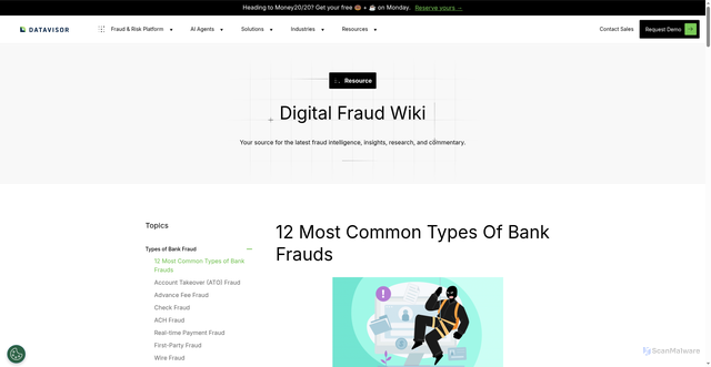 Security scan screenshot of https://www.datavisor.com/wiki/types-of-bank-frauds