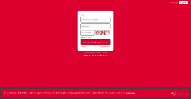 Security scan screenshot of https://ddnsipcam.com