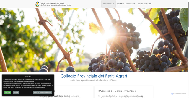 Security scan screenshot of https://www.peritiagrari.tn.it/