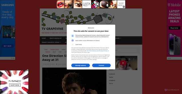 Security scan screenshot of https://www.tvgrapevine.com/one-direction-singer-liam-payne-passes-away-at-31/
