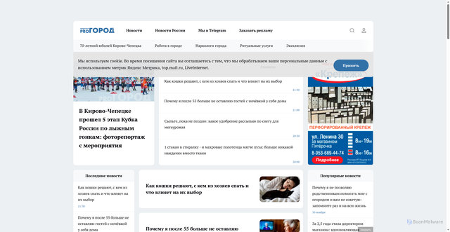 Security scan screenshot of https://prochepetsk.ru