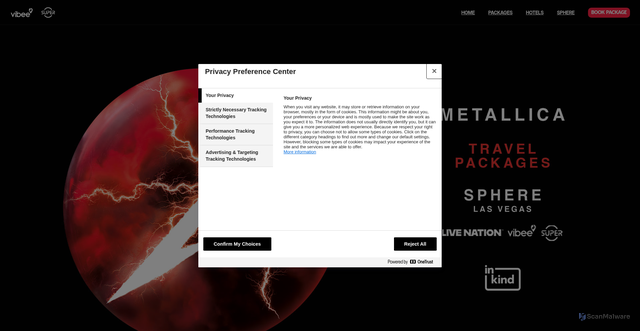 Security scan screenshot of https://metallica.vibee.com/