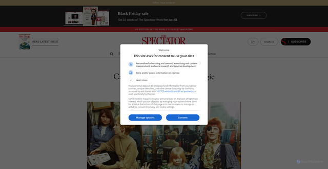 Security scan screenshot of https://thespectator.com/book-and-art/cameron-crowe-cringe-magic-uncool/