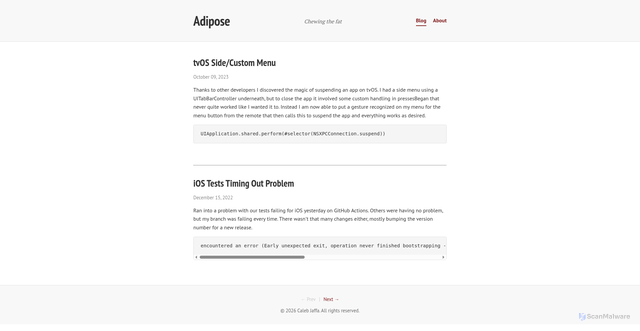 Security scan screenshot of https://adipo.se