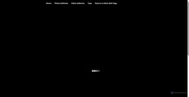 Security scan screenshot of https://bigsafariassociationmedia.org