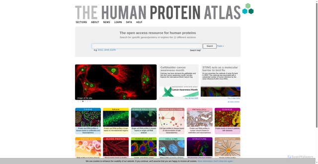 Security scan screenshot of https://v23.proteinatlas.org