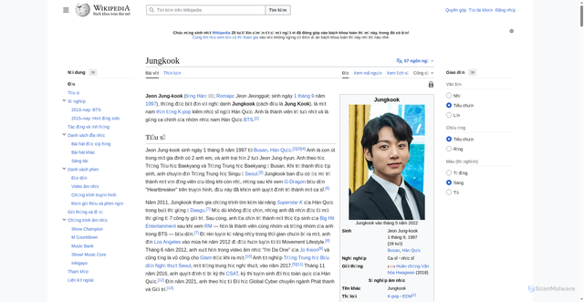 Security scan screenshot of https://vi.wikipedia.org/wiki/Jungkook