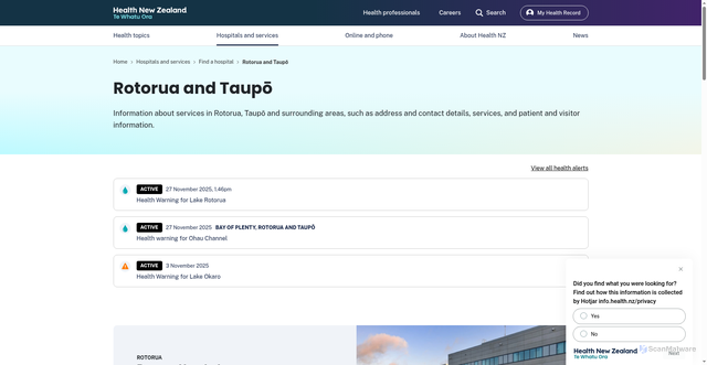Security scan screenshot of http://www.lakesdhb.govt.nz/