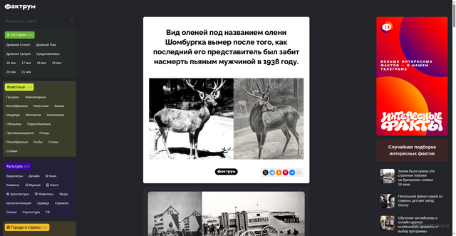 Security scan screenshot of https://www.factroom.ru