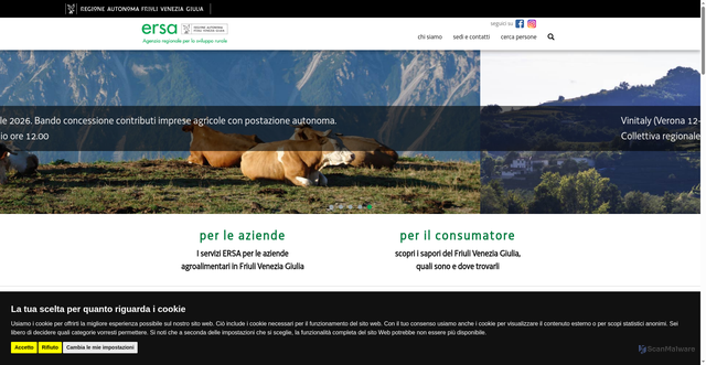 Security scan screenshot of https://www.ersa.fvg.it/cms/hp/;jsessionid=D4DE2F12A130AEFAED9C7AC98AD68FC5