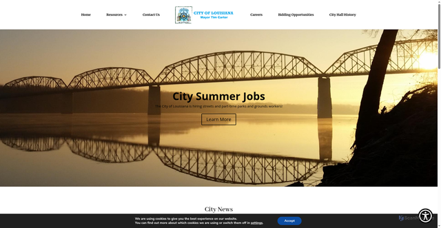 Security scan screenshot of https://louisianamo.gov/