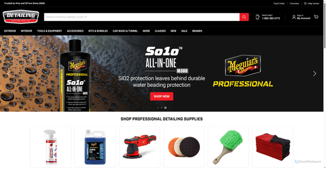 Security scan screenshot of https://detailing.com