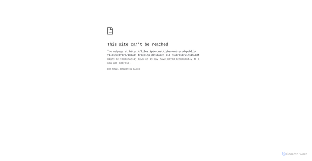 Security scan screenshot of https://files.ipbes.net/ipbes-web-prod-public-files/webform/impact_tracking_database/_sid_/sabresbruins25.pdf