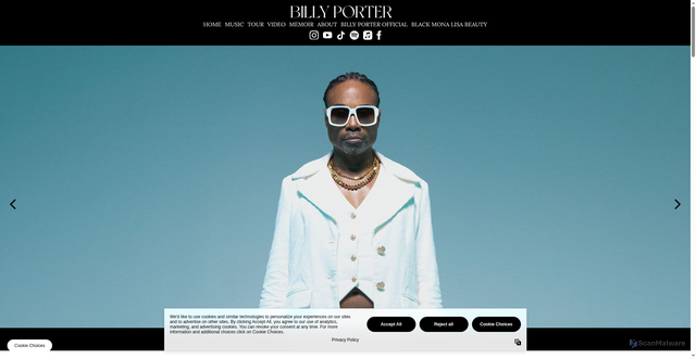 Security scan screenshot of https://www.theebillyporter.com/