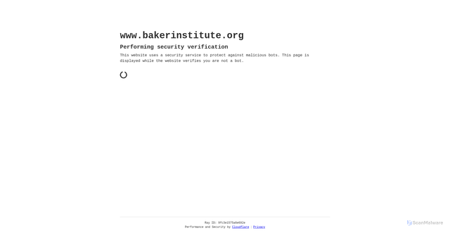 Security scan screenshot of https://www.bakerinstitute.org