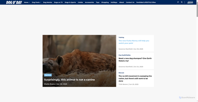 Security scan screenshot of https://dogoday.com/