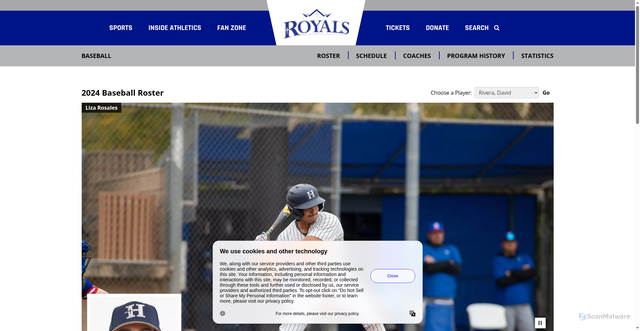 Security scan screenshot of https://hiuroyals.com/sports/baseball/roster/david-rivera/4392
