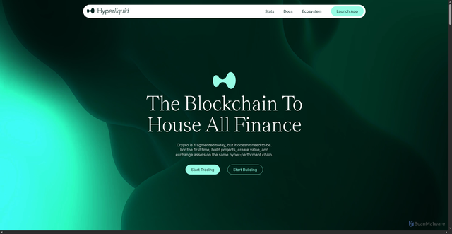 Security scan screenshot of api.hyperliquid.xyz