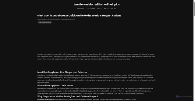 Security scan screenshot of https://inspirasisantaipoint-dpgd50nq3c8t.edgeone.app/cest-quoi-le-capybara.html