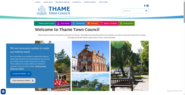 Security scan screenshot of https://www.thametowncouncil.gov.uk/