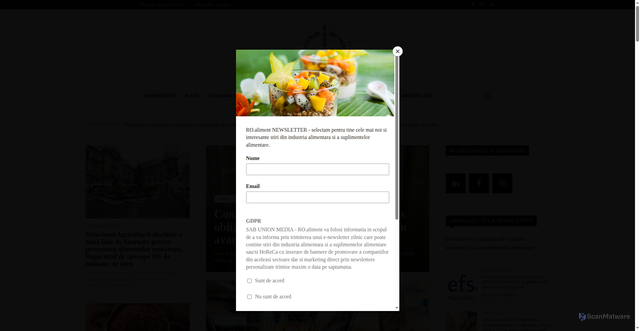 Security scan screenshot of https://roaliment.ro