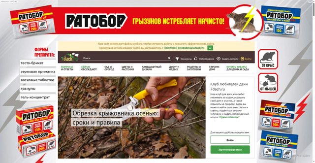 Security scan screenshot of https://7dach.ru