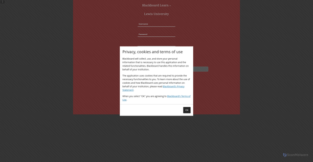 Security scan screenshot of https://lewisuniversity.blackboard.com