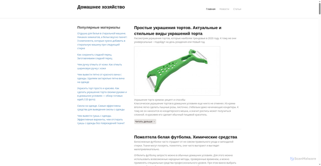 Security scan screenshot of https://domashneekhozyajstvo.ru