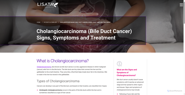 Security scan screenshot of https://www.lisata.com/patients-families/cholangiocarcinoma-bile-duct-cancer-symptoms/