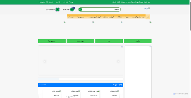 Security scan screenshot of https://baghsar.ir